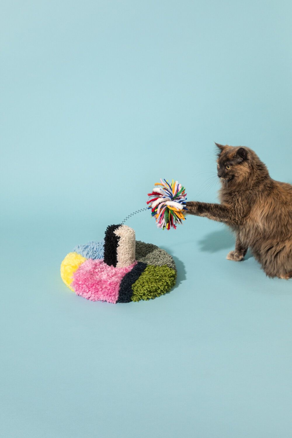 Cat toys