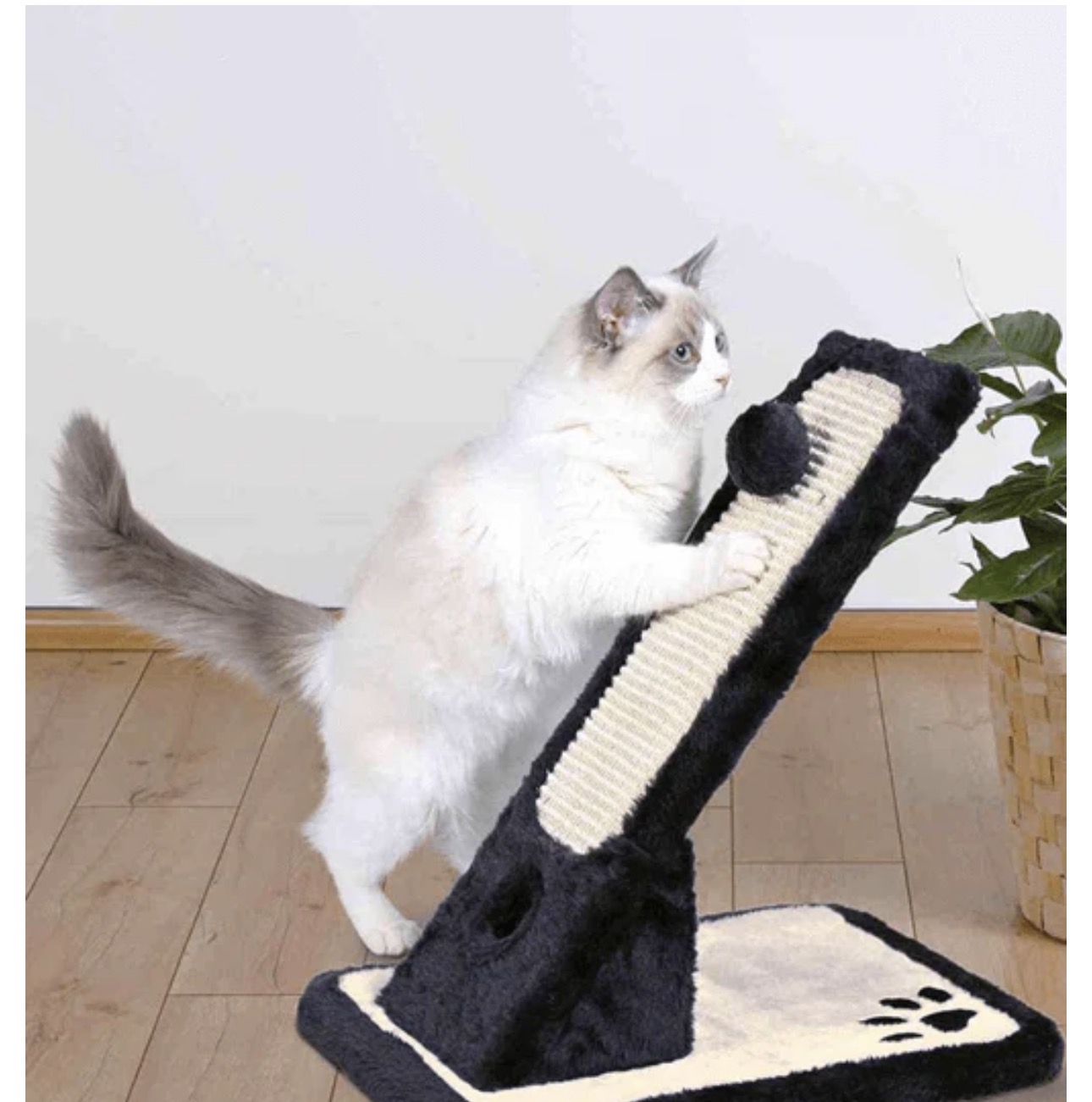 Oblique Scratching Post Black L42×W30×H40 cm by